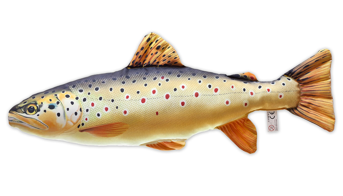 P-29180_Fischkissen_Kuscheltier_Bachforelle_62cm_ganz Fish Pillow Soft Toy Brown Trout 62cm
