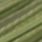 blue winged olive