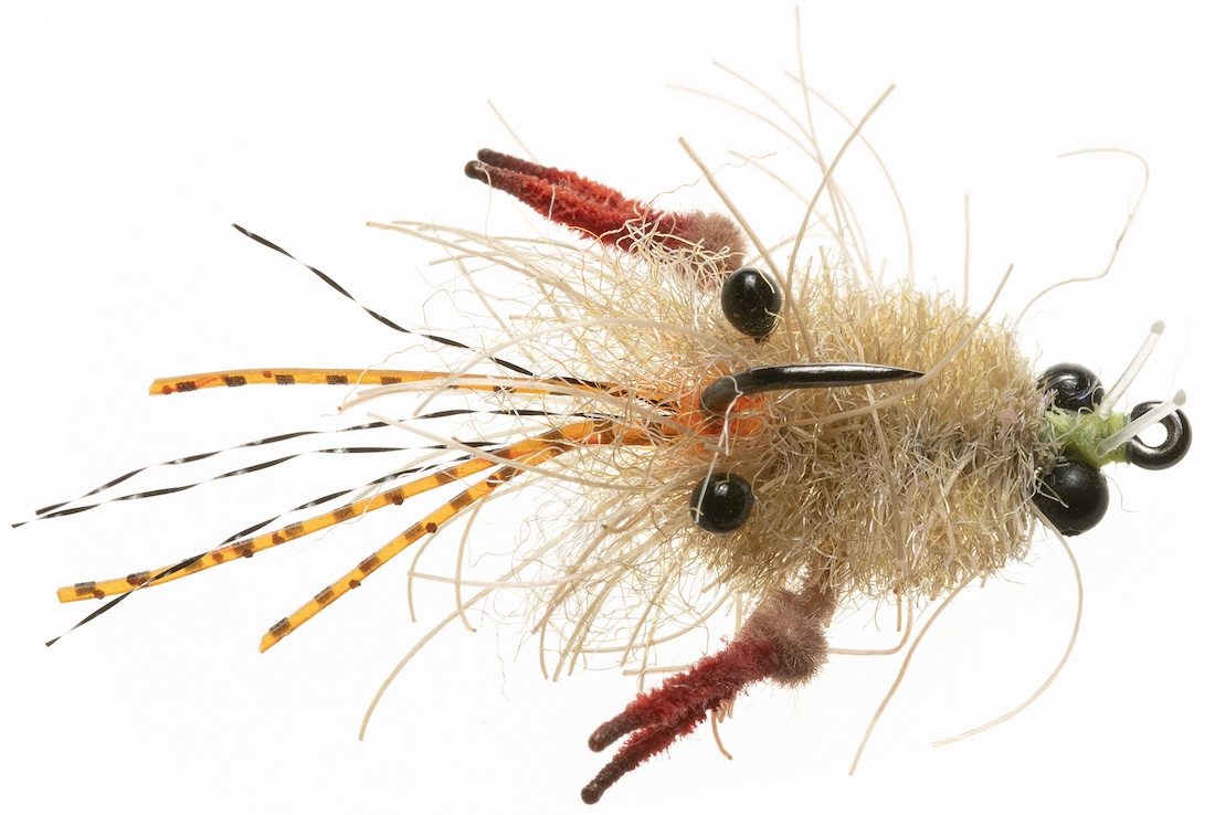 Enrico Puglisi EP® TARANTULA CRAB - MOTTLED TAN - #2 MINI - BEAD CHAIN