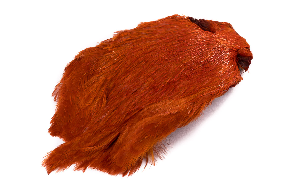 07552_fly_scene_hahnen_balg_burnt_orange burnt orange