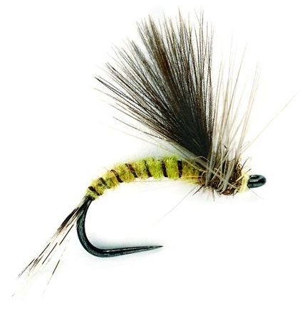 Fulling-Mill-Trockenfliege-CDC-Olive-Emerger-Barbless Fulling Mill Dry Fly - CDC Olive Emerger Barbless