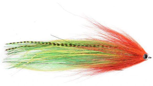 P-23069_Fly_Soul_Hechtstreamer_Parrot_ Bindebeispiel