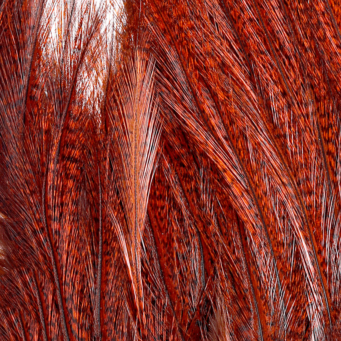 P-25388_Whiting-CDL-Euro-Nymph-Tailing-Pack_detail-3