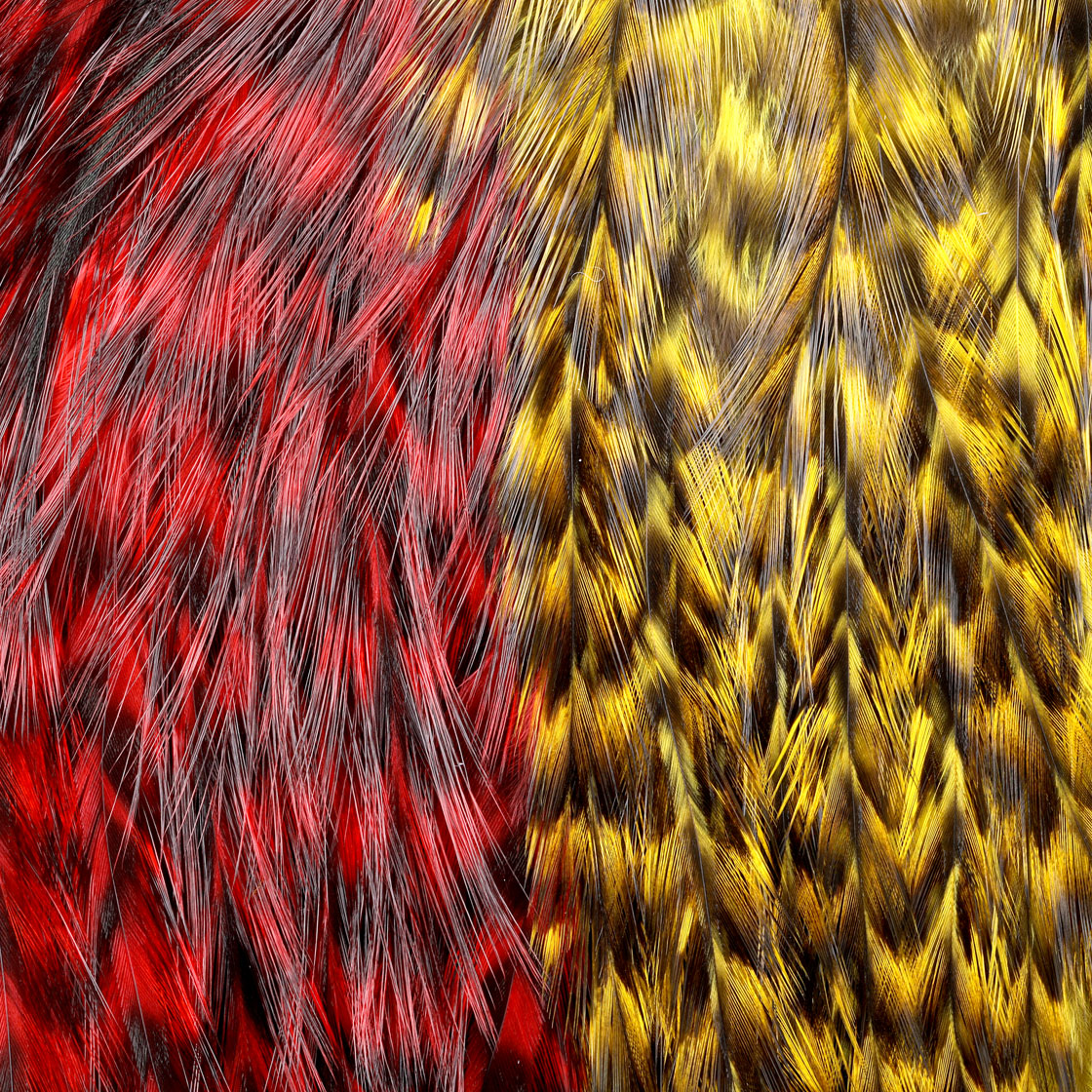 P-25389-2_Whiting-CDL-Predator-Pack_grizzly-pardo-red_yellow_detail