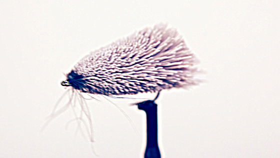 Fly Tying Video: Goddard Sedge