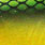 green headlight