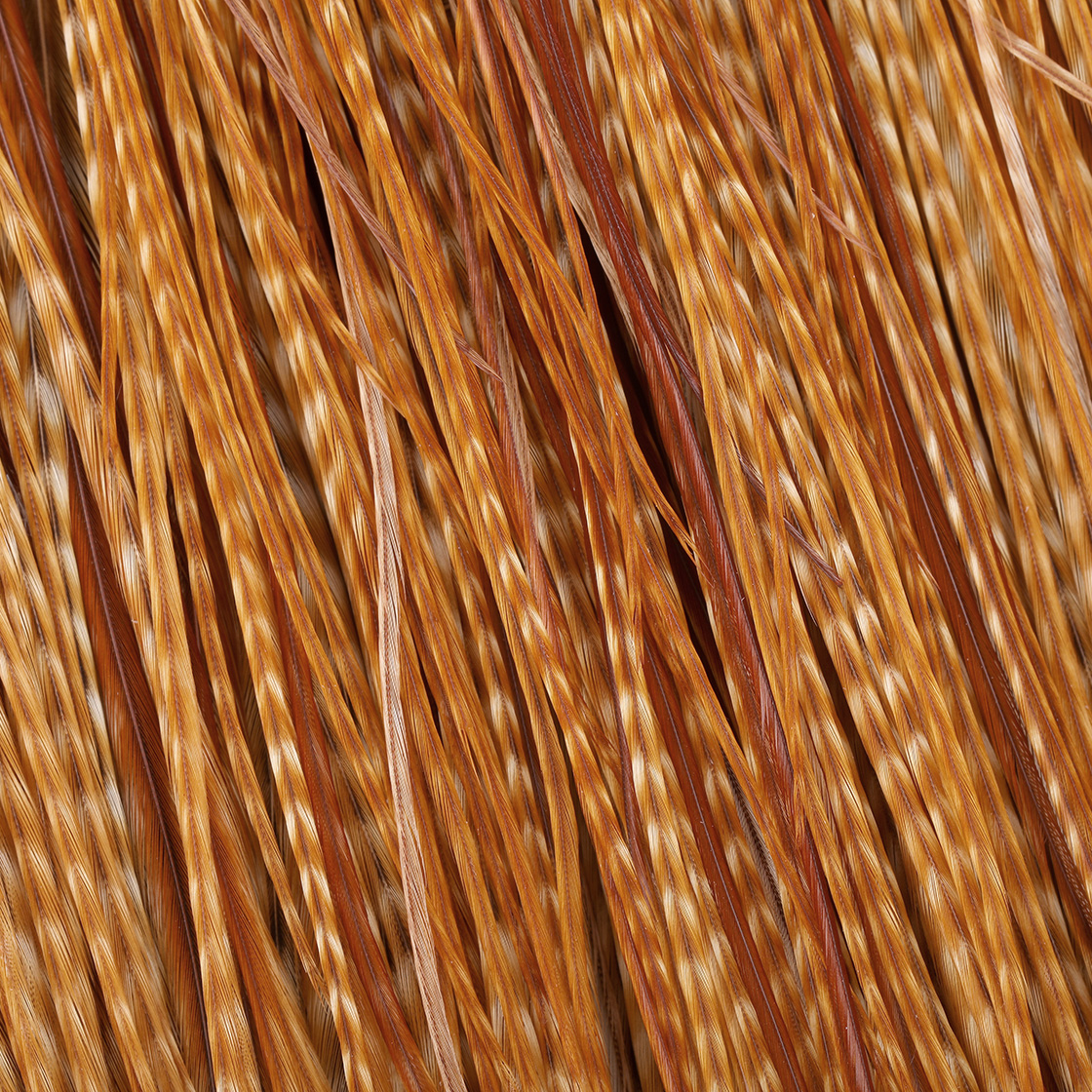 P-29042_Whiting-Commercial-Cape_detail-2