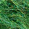 uv green