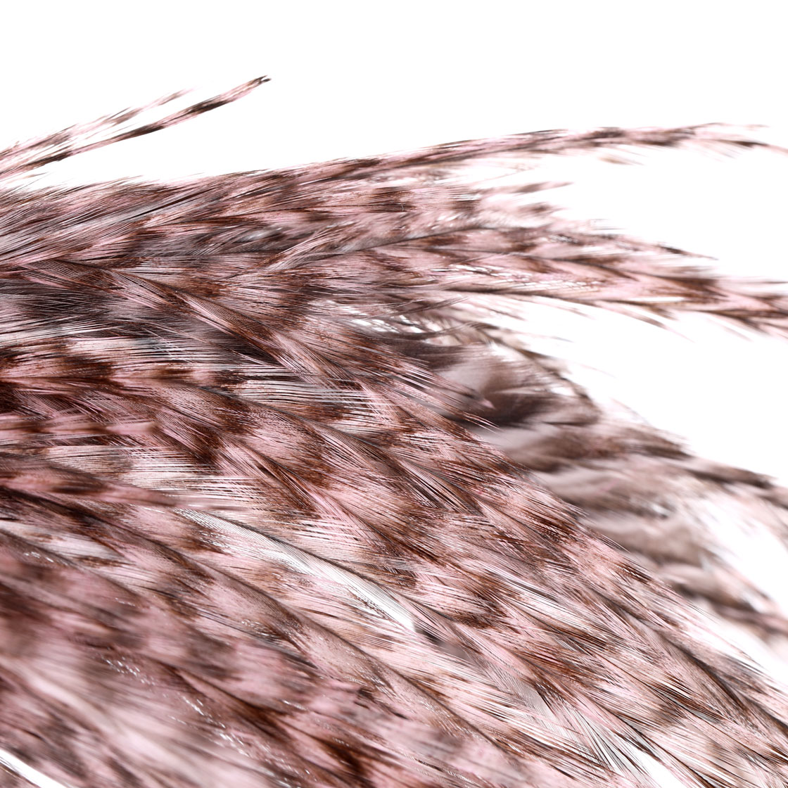 P-25389_Whiting-CDL-Predator-Pack_detail_1