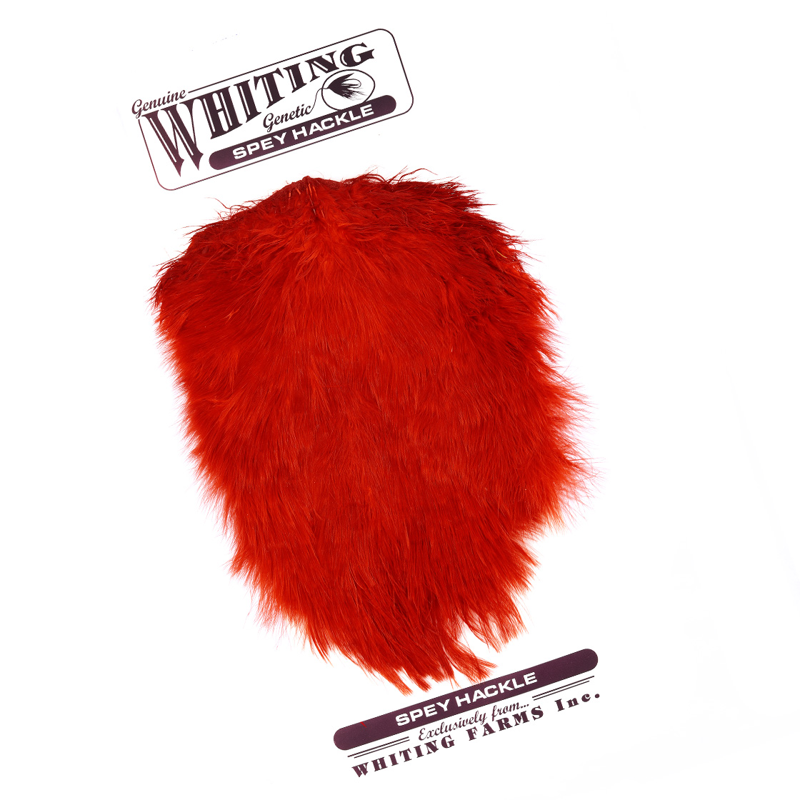 white dyed red