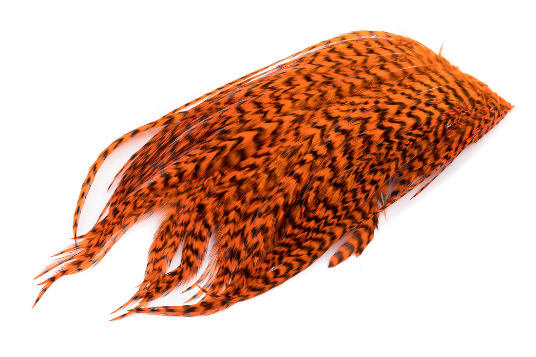 grizzly orange