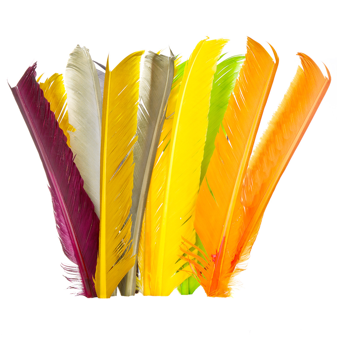 P-27145_Fulling-Mill-Premium-Turkey-Biots_ Fulling Mill Premium Turkey Biots