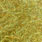 golden olive