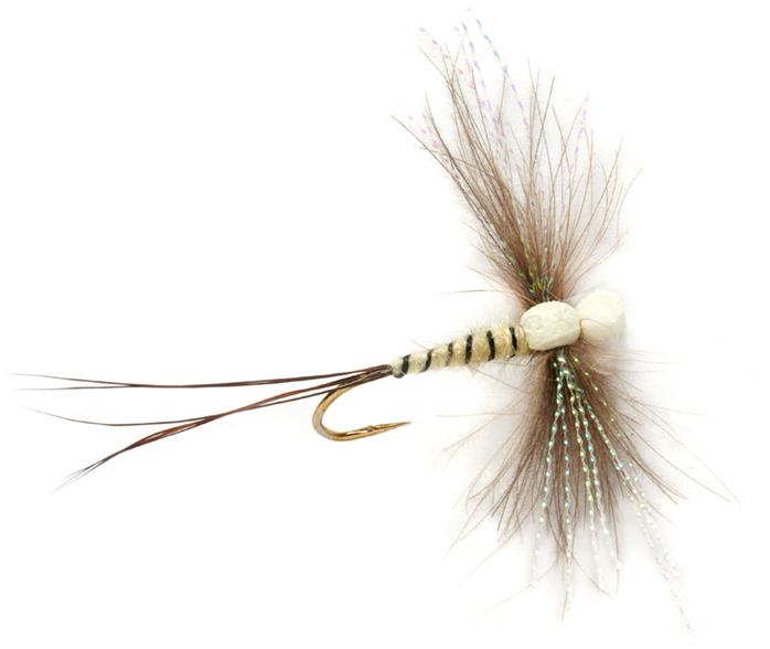 Fulling Mill Dry Fly - Procter's Twinkle Wing Spinner Mayfly 