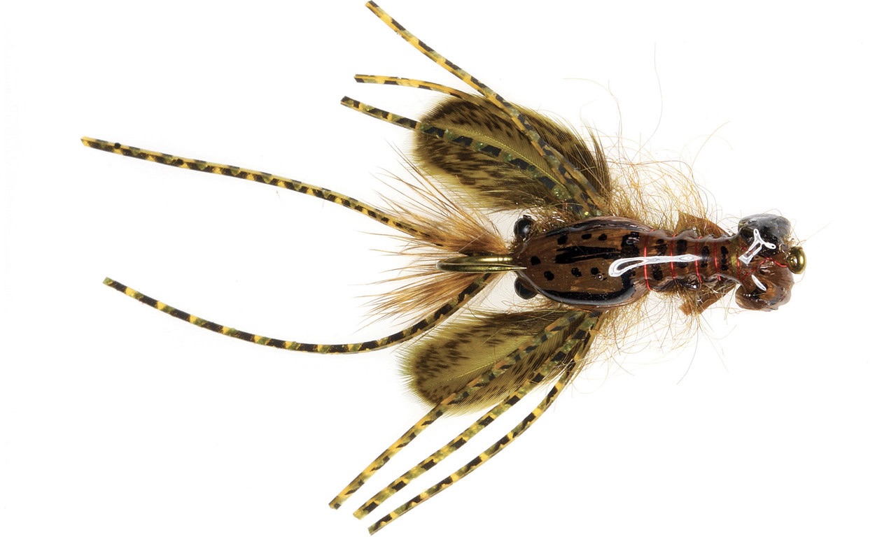 Umpqua Streamer Hada's Creek Crawler Olive #4