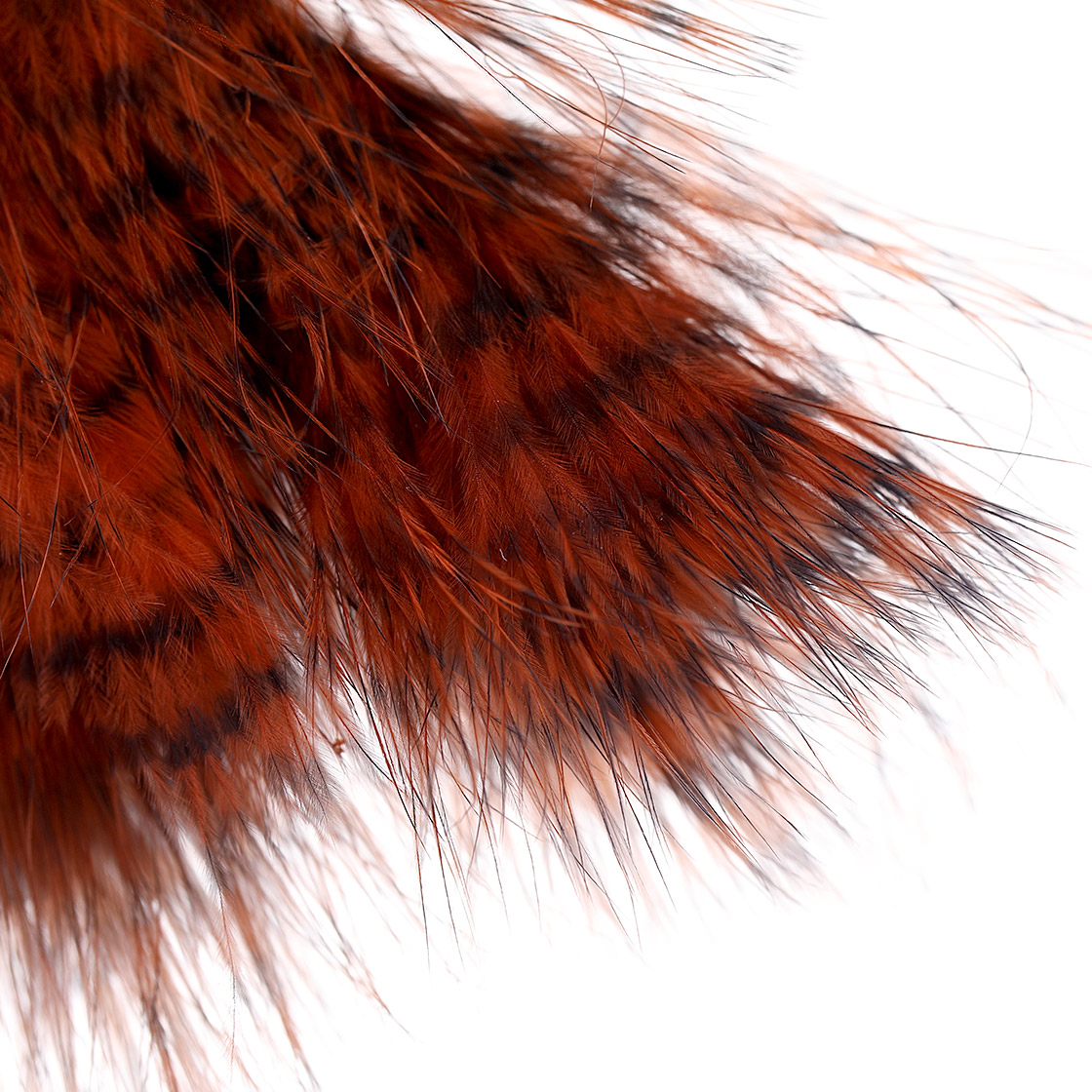 P-27104_MFC_Barred_Buggerbou_Grizzly_Wooly_Bugger_Marabou_Federn_Detail