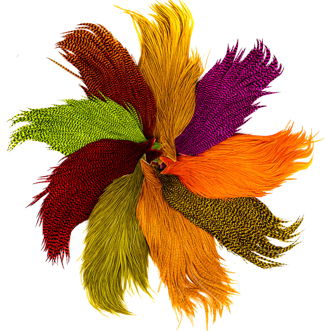 P-15934_1 Whiting High & Dry Hackle Bronze Cape