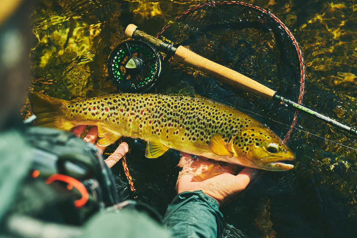 Guideline-Elevation-Nymph-Einhand-Euronymph-Fliegenrute-6