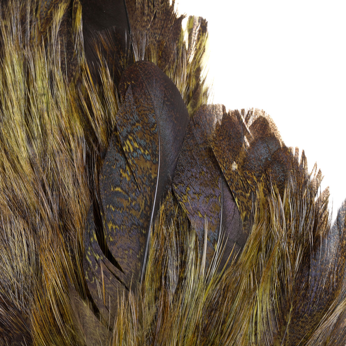 P-25394_Whiting-Coq-de-Leon-Mayfly-Tailing-Pack_detail-1