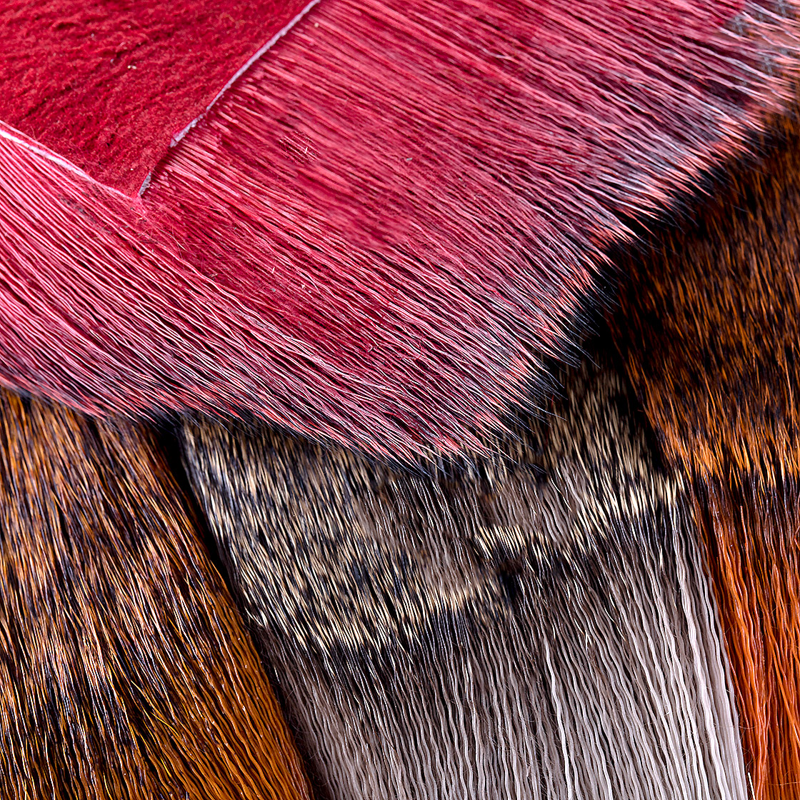 10709-Future-Fly-FF-Tiny-Muddler-Hair-Detail