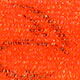 fluorecent fire orange