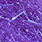 hot purple