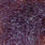 uv dark brown