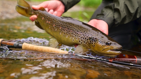 adh-fishing Test: Diamondback Ideal Nymph Rod and Reel