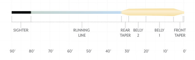 P-28320_Scientific_Anglers_Amplitude_Smooth_Titan_GT_3