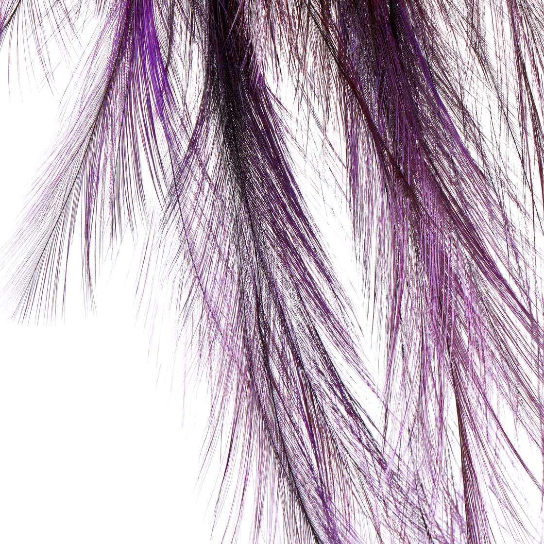 P-25388_Whiting-CDL-Euro-Nymph-Tailing-Pack_detail-2