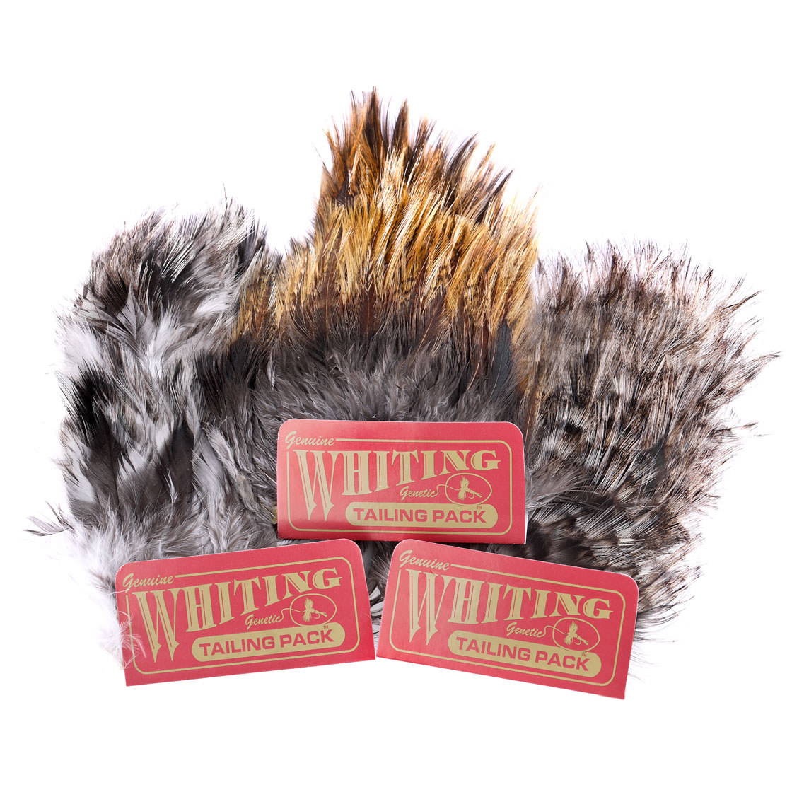 P-25396_Whiting-Coq-de-Leon-Tailing-Pack_titel Whiting Coq de Leon Tailing Pack