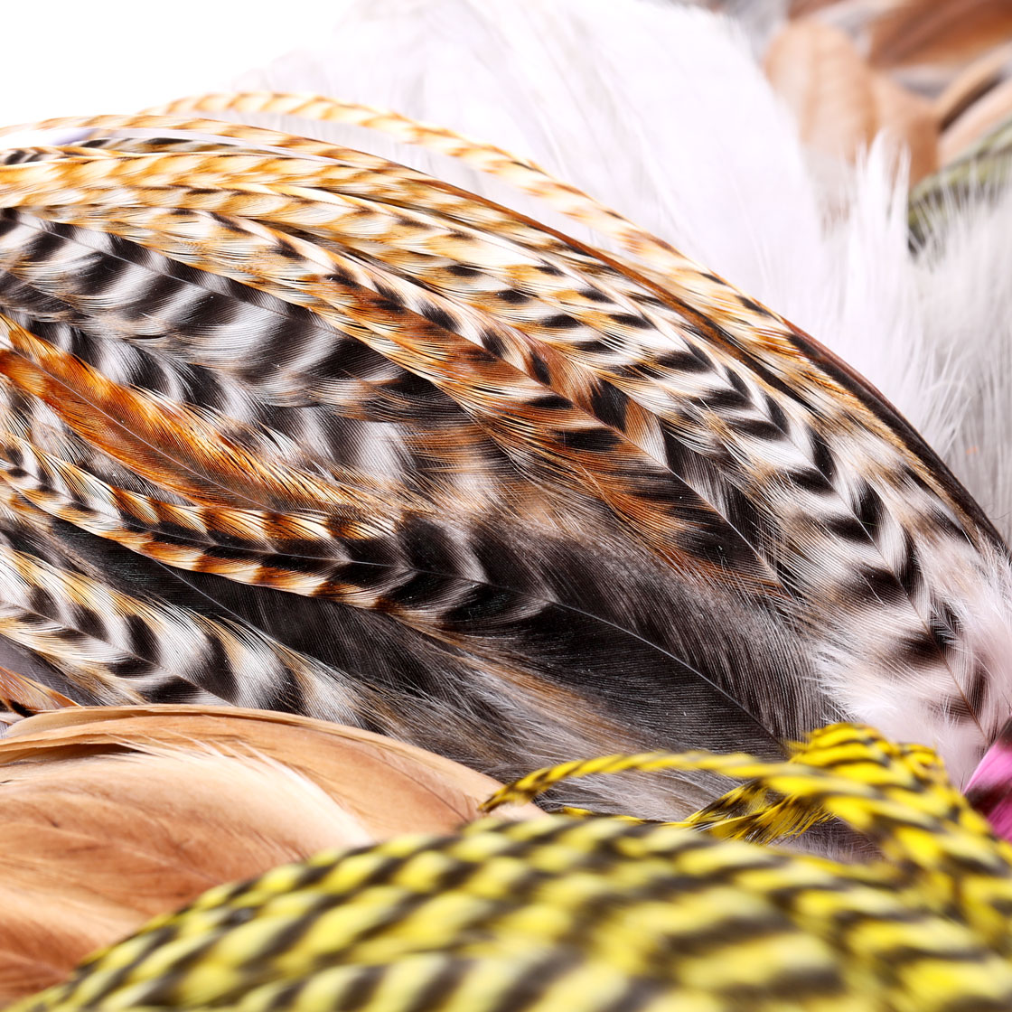 P-25407_Whiting-Tier-s-Variety-Pack_detail-3