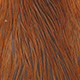rusty dun