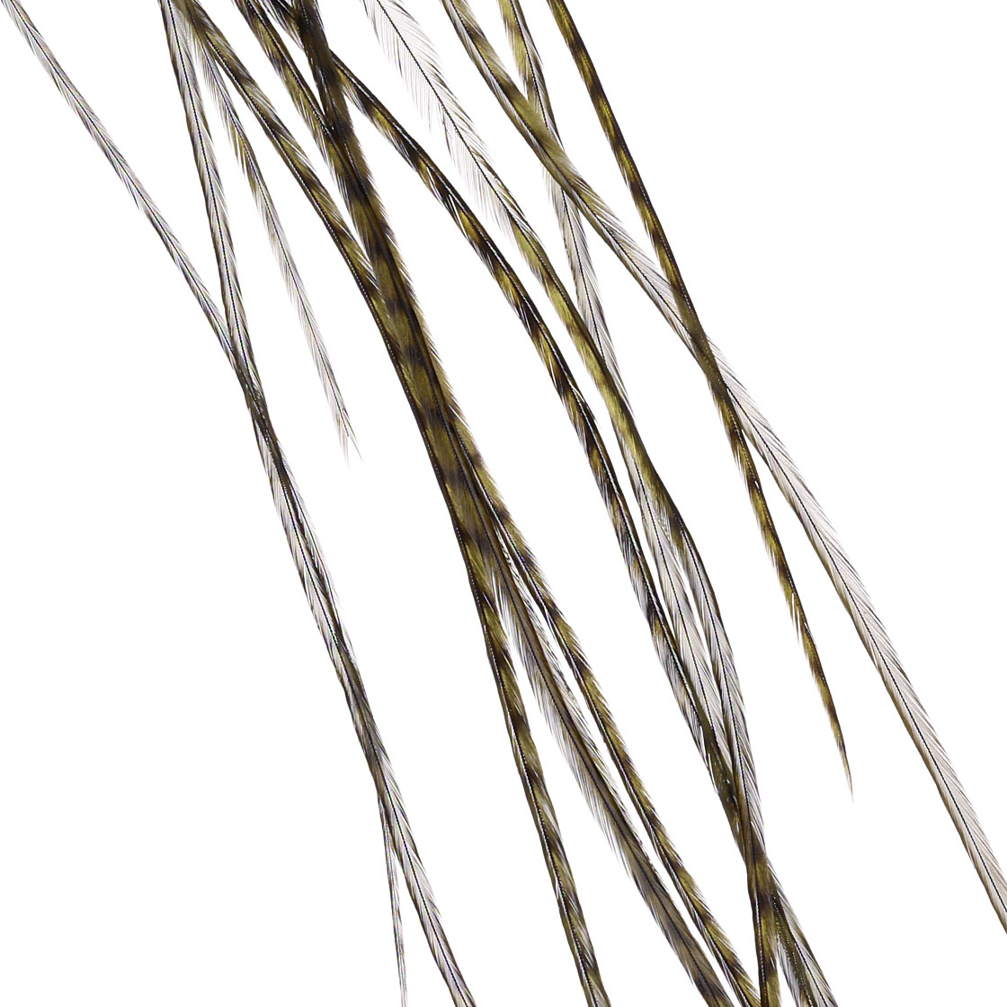 grizzly dyed dark olive