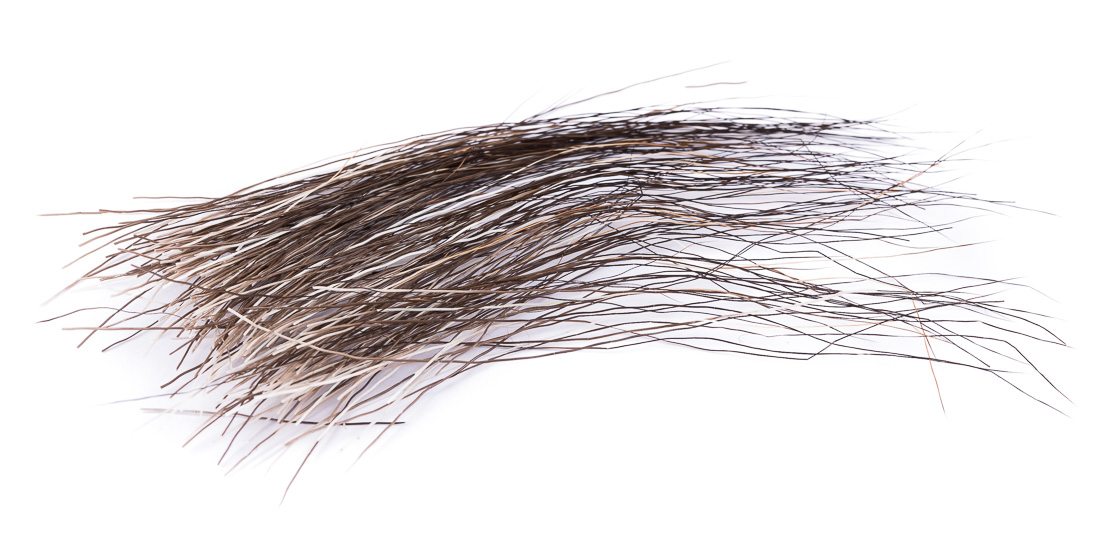 12632-wapsi-moose-mane-duhmom-1 Wapsi Moose Mane