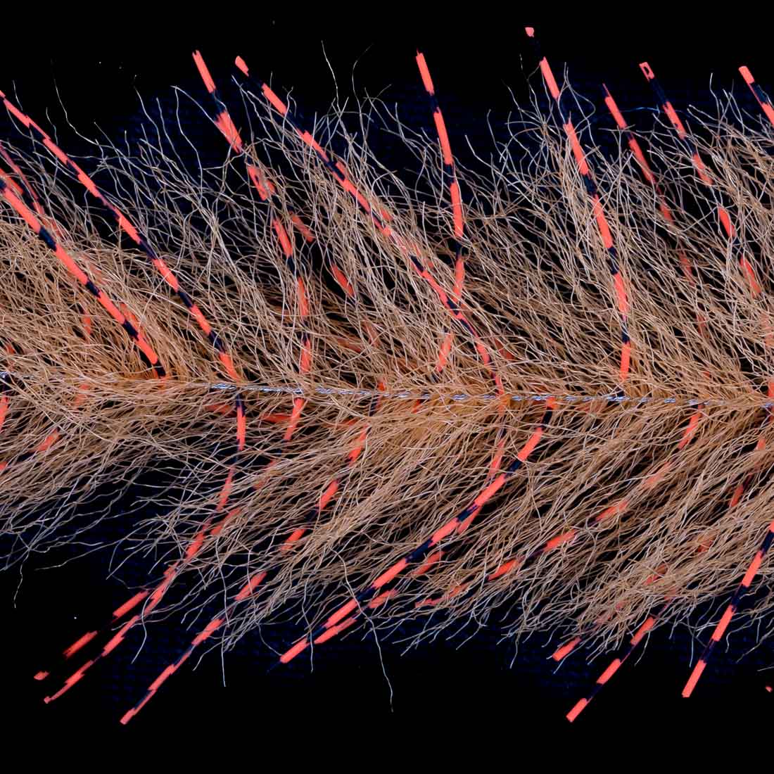 orange & hot orange black bar