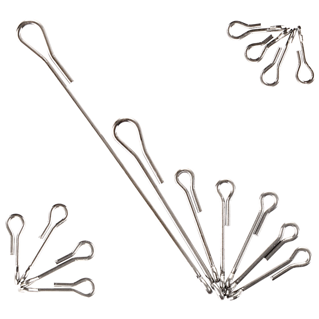 P-21056_spawns_articulated-shanks_alle-Grossen