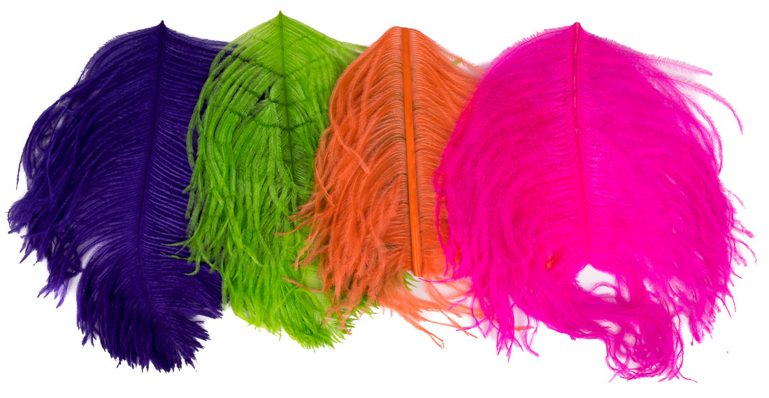 Ostrich pomp feather