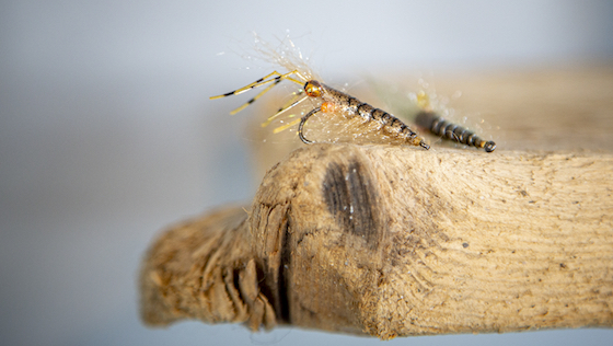 Fly Tying Video 'Natural Shrimp Fly' for Sea Trout