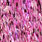 pink uv black barred