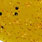 motoroil pepper