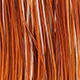 medium ginger