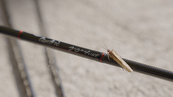 Scott_Fly_Rods_Blog_Vorschau - Scott Fly Rod Company - 50 Jahre Handwerkskunst Scott Fly Rod Company - 50 years of craftsmanship