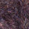 uv dark brown