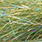 ice chartreuse