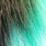 pastel minnow