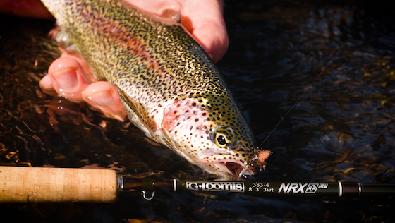 G.Loomis NRX+ LP - Bachrute im Praxistest G.Loomis NRX+ LP - Trout Rod Field Test