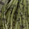 dark olive