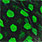 highlander green