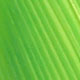 fluo chartreuse